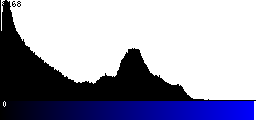 Blue Histogram