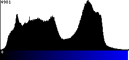 Blue Histogram