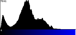 Blue Histogram