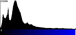 Blue Histogram