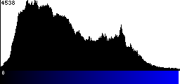 Blue Histogram