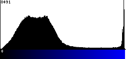 Blue Histogram