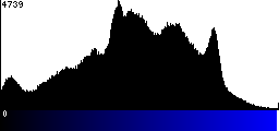 Blue Histogram