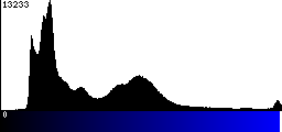 Blue Histogram