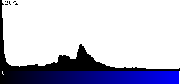 Blue Histogram