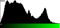 Green Histogram
