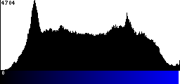 Blue Histogram