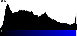 Blue Histogram
