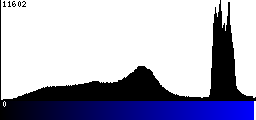 Blue Histogram