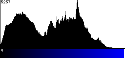 Blue Histogram