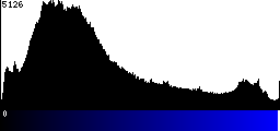 Blue Histogram