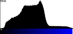 Blue Histogram