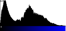Blue Histogram