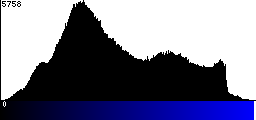 Blue Histogram