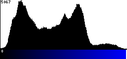 Blue Histogram