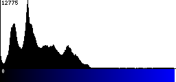 Blue Histogram
