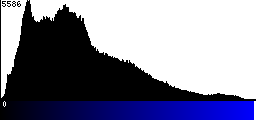 Blue Histogram