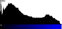 Blue Histogram