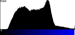 Blue Histogram