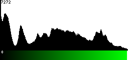 Green Histogram