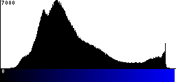 Blue Histogram