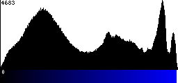 Blue Histogram