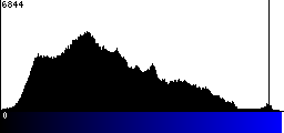 Blue Histogram