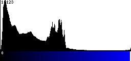 Blue Histogram