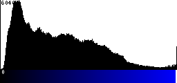 Blue Histogram