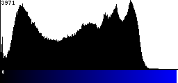 Blue Histogram