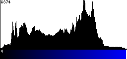 Blue Histogram
