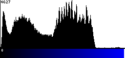 Blue Histogram