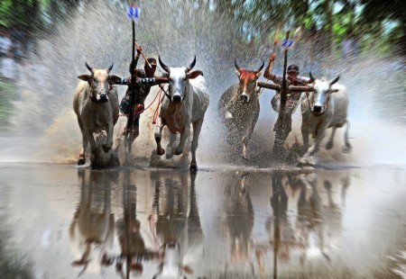 Determination to win