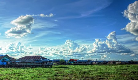 pemandangan pinggiran rawa kota palangkaraya