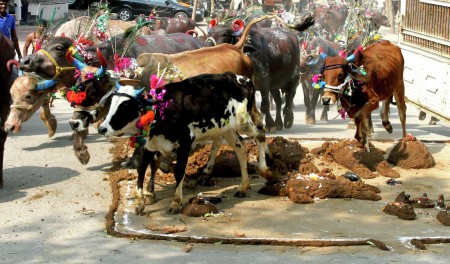 Govardhan Puja