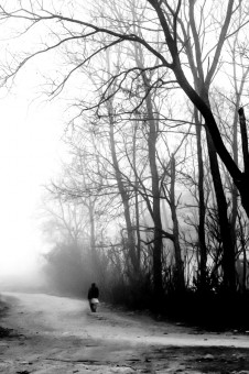 Going Home
