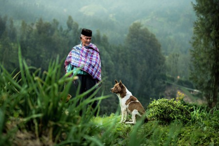 Farmer And His Dog