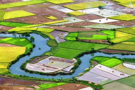 VÃ o vá»¥ má»›i