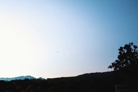 Freedom