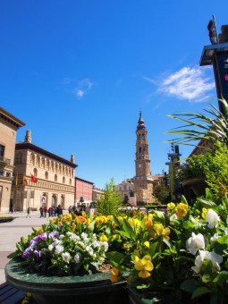 Beautidul Zaragoza