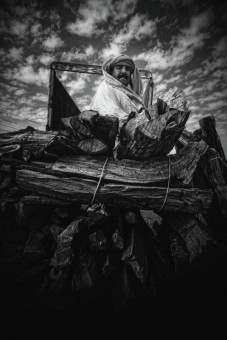 Traveller