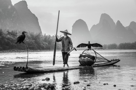 The fisherman with birds