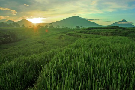 sunrise