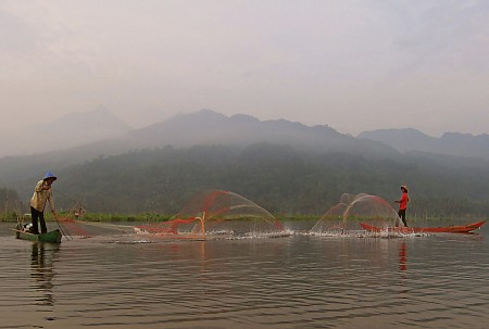 menjala