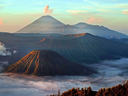 Nature's Masterpieces