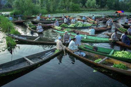 Lotus Floating Market