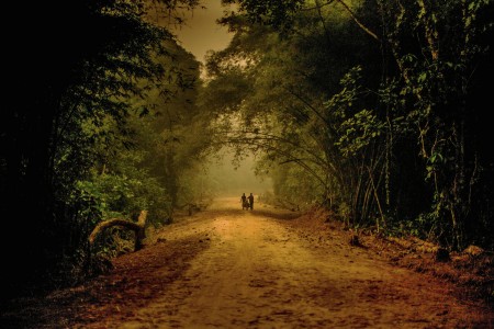 Bamboo Road.