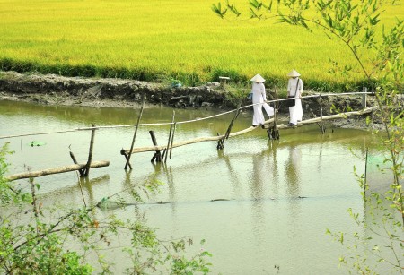 Ä‘áº¿n trÆ°á»ng