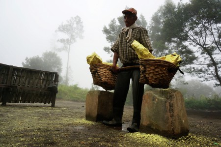 worker carry sulphur