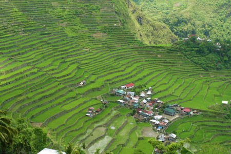 Stairs of Batad